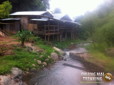 Photos from our guests | Chiang Mai Trekking | The best trekking in Chiang Mai with Piroon Nantaya